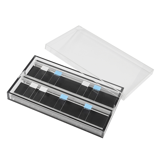 Staining Box PMMA for 2x12 Slides